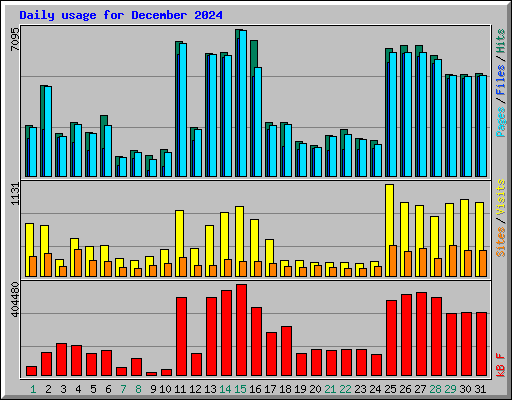 Daily usage for December 2024