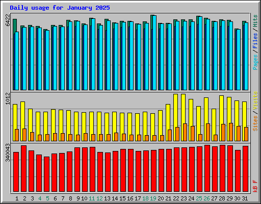Daily usage for January 2025