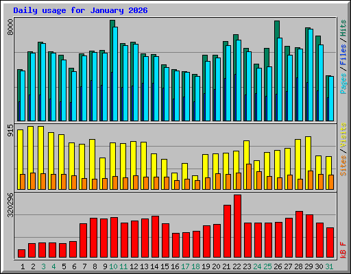 Daily usage for January 2026