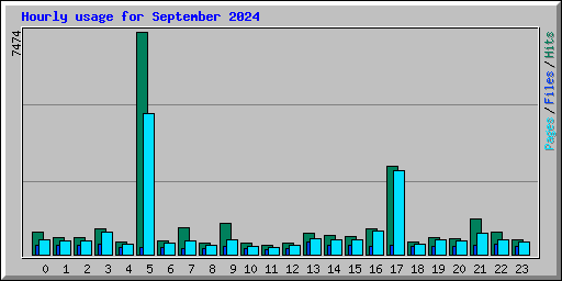 Hourly usage for September 2024