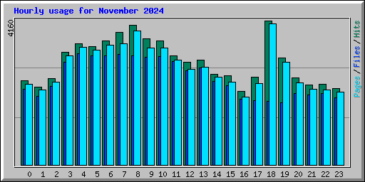 Hourly usage for November 2024
