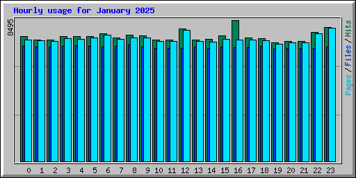 Hourly usage for January 2025