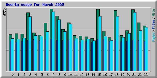 Hourly usage for March 2025