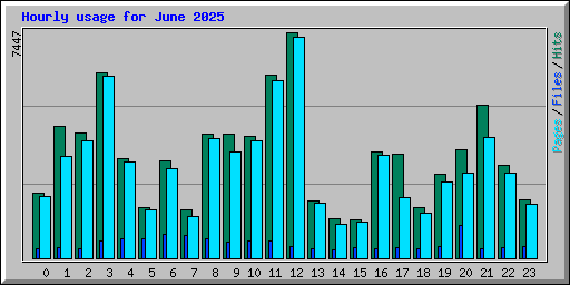 Hourly usage for June 2025