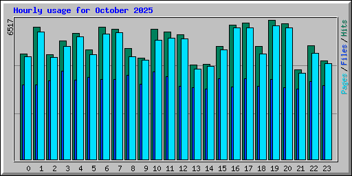 Hourly usage for October 2025