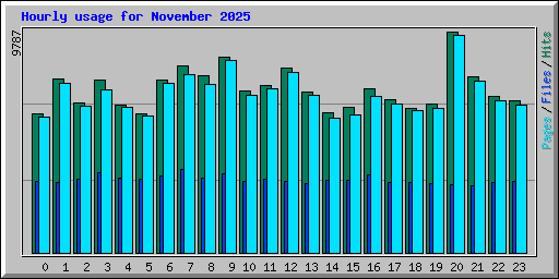 Hourly usage for November 2025
