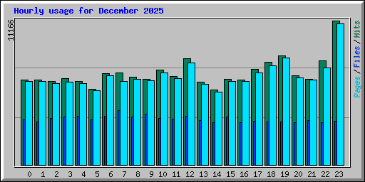 Hourly usage for December 2025