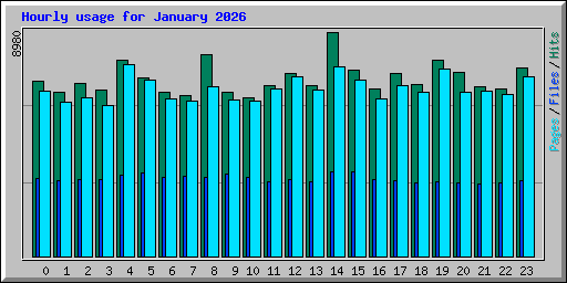 Hourly usage for January 2026